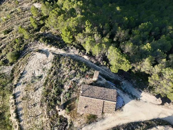 Finca rústica en Partida Aguilar s/n sn