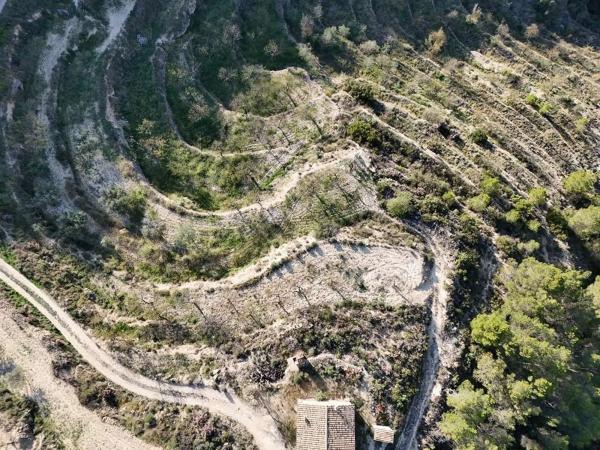 Finca rústica en Partida Aguilar s/n sn