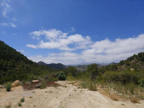 Casa rural en Partida Foya Moli