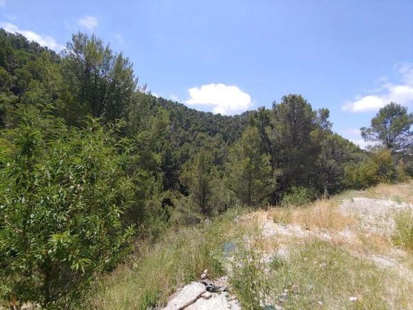 Casa rural en Partida Foya Moli