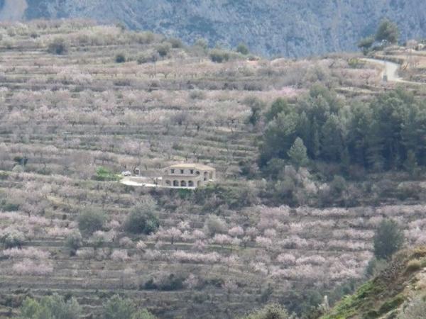 Finca rústica en Rafalet, 22