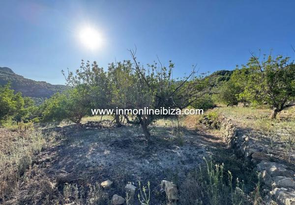Finca rústica en partida Casivanyes