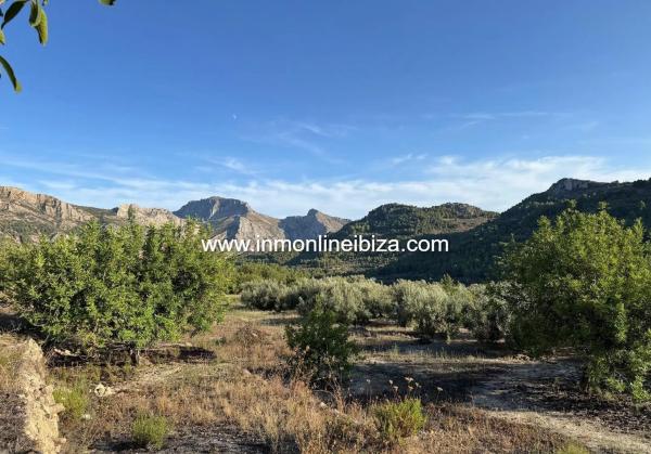 Finca rústica en partida Casivanyes