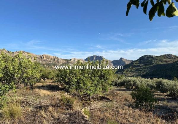 Finca rústica en partida Casivanyes