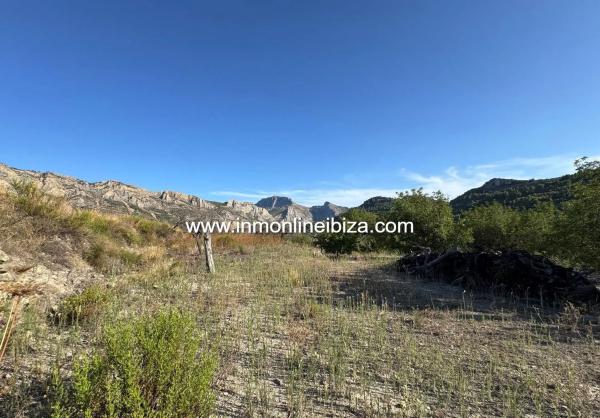 Finca rústica en partida Casivanyes