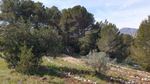 Finca rústica en Partida Sa Foia des Gavatx, 1