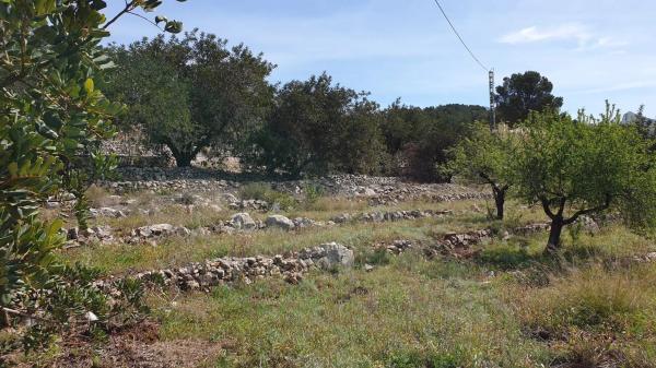 Finca rústica en Partida Sa Foia des Gavatx, 1