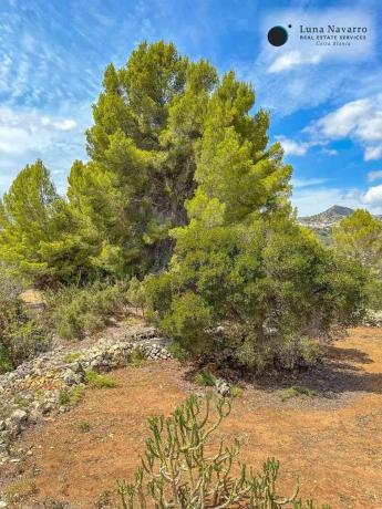 Finca rústica en Cv-715