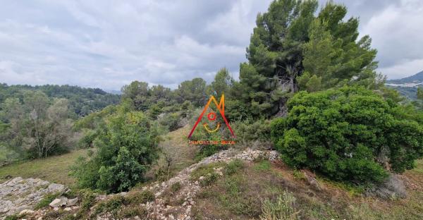 Masía en Partida Sa Foia des Gavatx