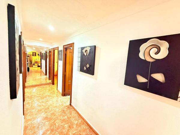 Piso en avenida Rei Jaume I