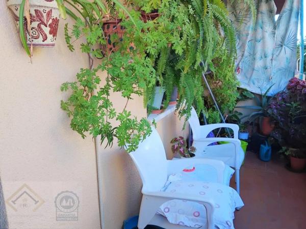 Piso en avenida Rei Jaume I