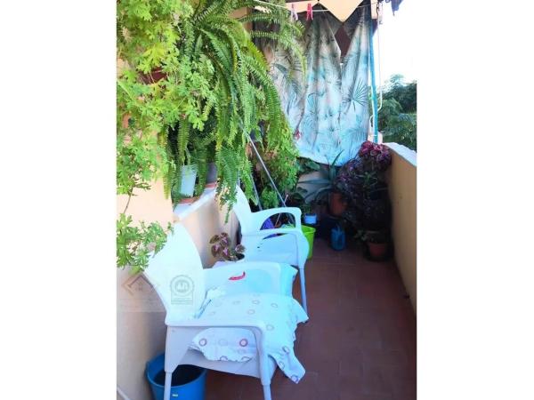 Piso en avenida Rei Jaume I