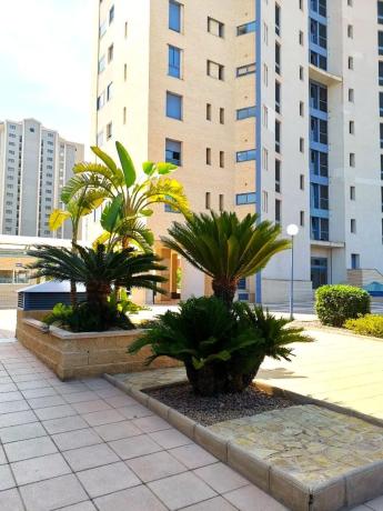 Ático en Pueblo Levante