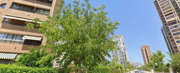 Piso en calle Cortés Roig