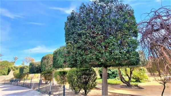 Piso en Pueblo Levante