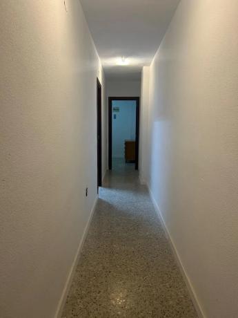 Piso en avenida Mare de Déu del Sofrat