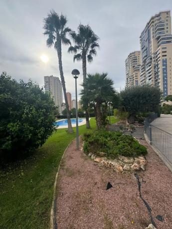 Estudio en calle Beata Maria Sufragio Orts, 7 b