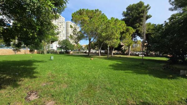 Piso en avenida de Portugal