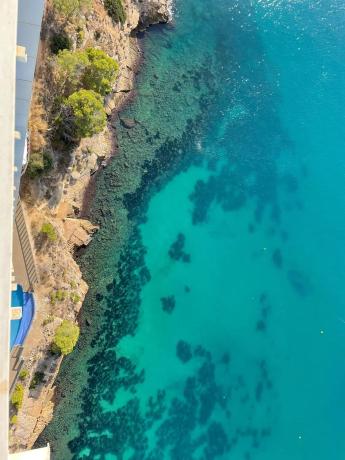 Piso en calle Alcalde Manuel Catalán Chana, 24