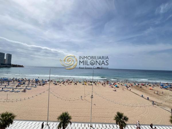 Estudio en Playa de Levante