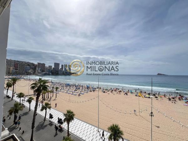 Estudio en Playa de Levante