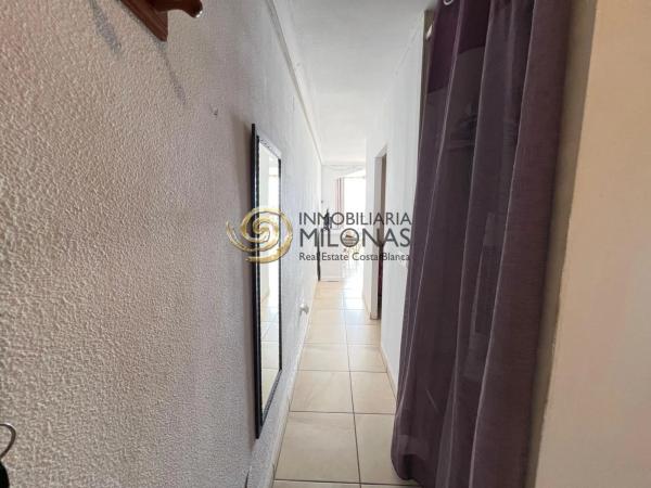 Estudio en Playa de Levante