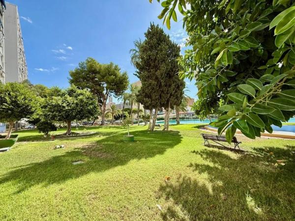 Estudio en Pueblo Levante