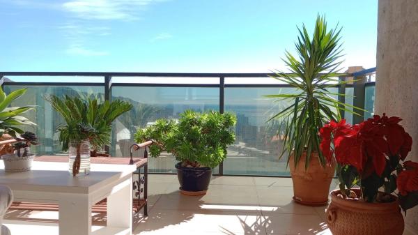 Piso en avenida del Municipi