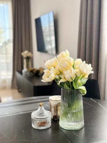 Piso en calle Berlin