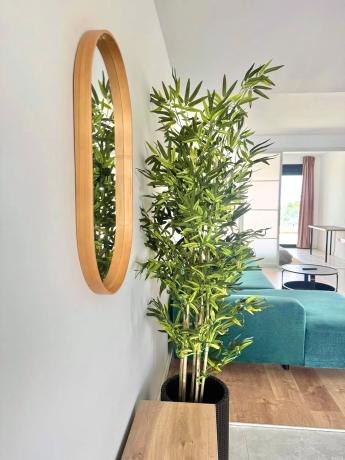 Dúplex en Guatemala, 1