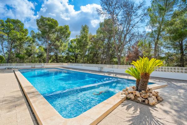 Piso en Partida Torrent