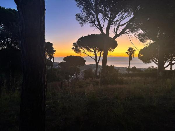 Colección privada • Llavaneres