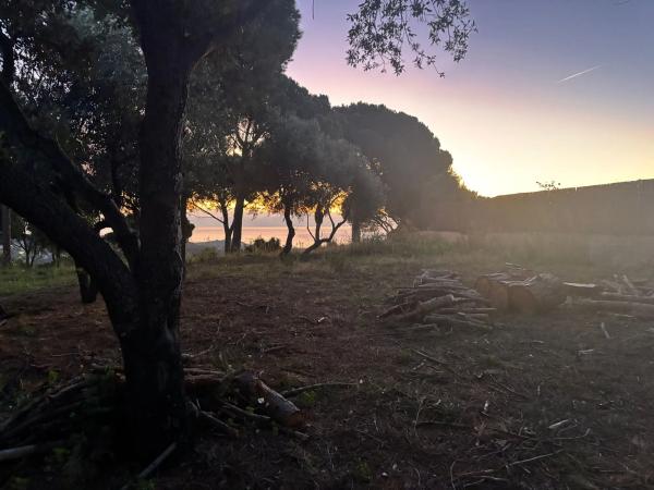 Colección privada • Llavaneres