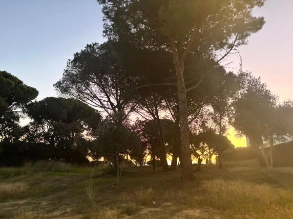 Colección privada • Llavaneres