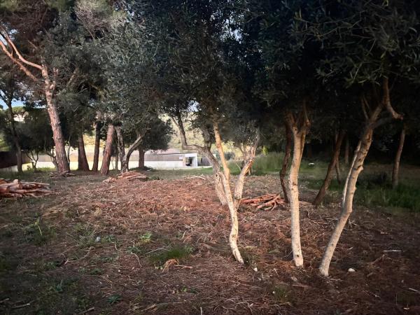 Colección privada • Llavaneres