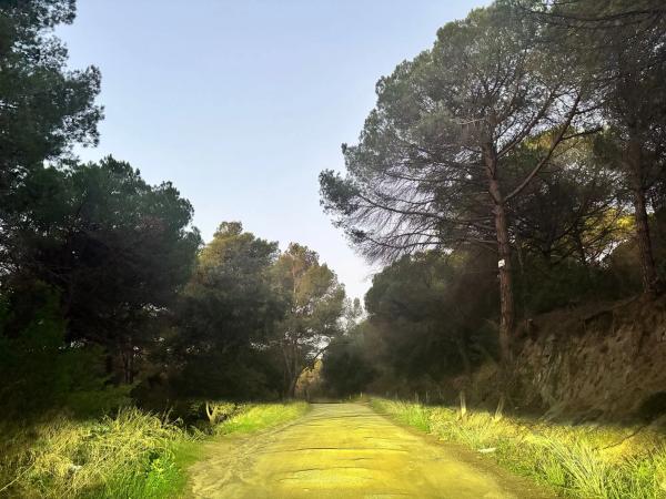 Colección privada • Llavaneres