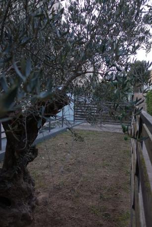 Chalet adosado en camino de Puiggraciós, 4