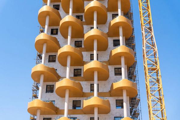 Camporrosso Golden Leaves