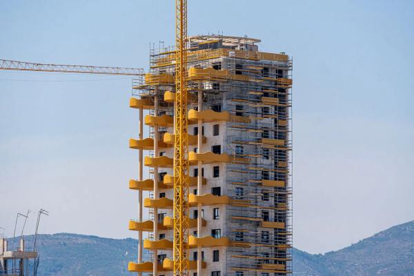 Camporrosso Golden Leaves