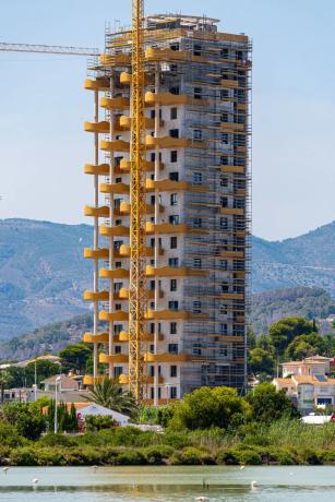 Camporrosso Golden Leaves