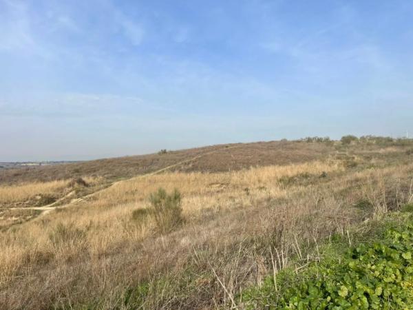 Urbanización Parque de Guadarrama