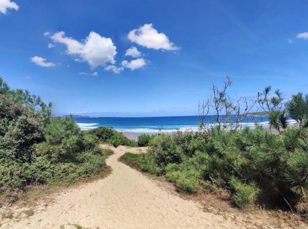 Urbanización Los Nogales de Suesa