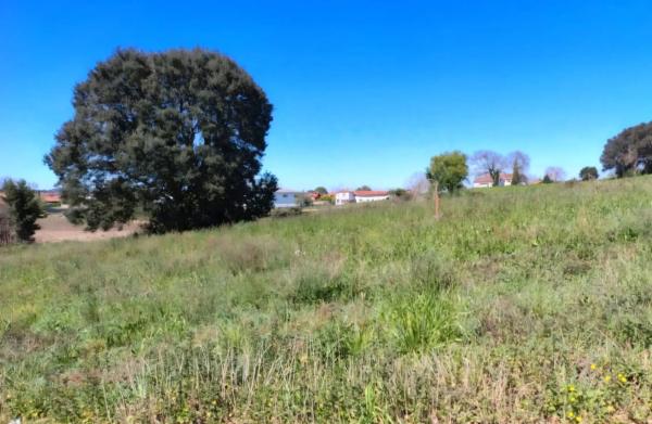 Urbanización Los Nogales de Suesa