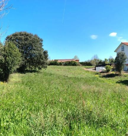 Urbanización Los Nogales de Suesa