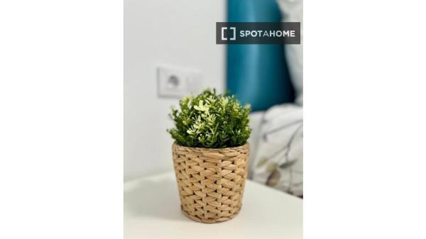 Zimmer in einer Wohngemeinschaft in Vigo zu vermieten