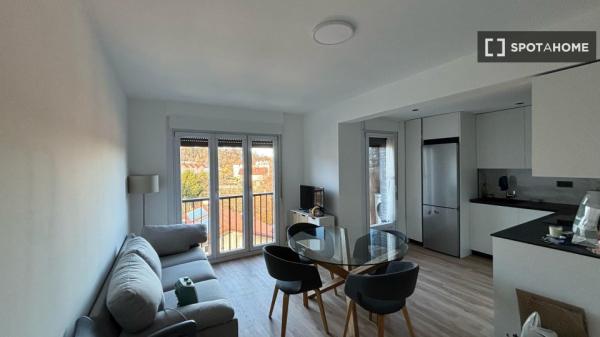 Chambre à louer dans un appartement partagé de 3 chambres à Centro, Hernani.