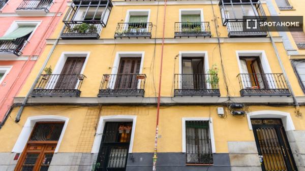Apartamento de 2 dormitorios en alquiler en Embajadores, Madrid