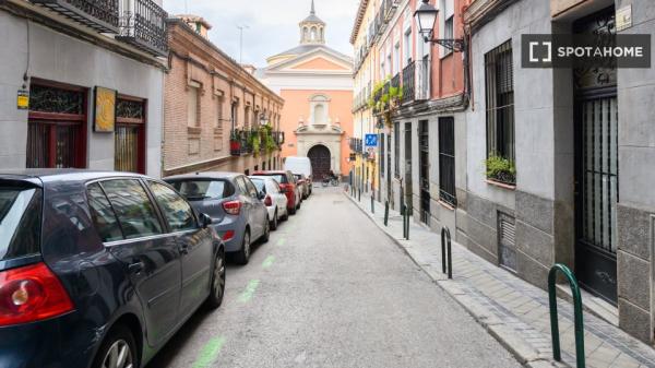 Apartamento de 2 dormitorios en alquiler en Embajadores, Madrid