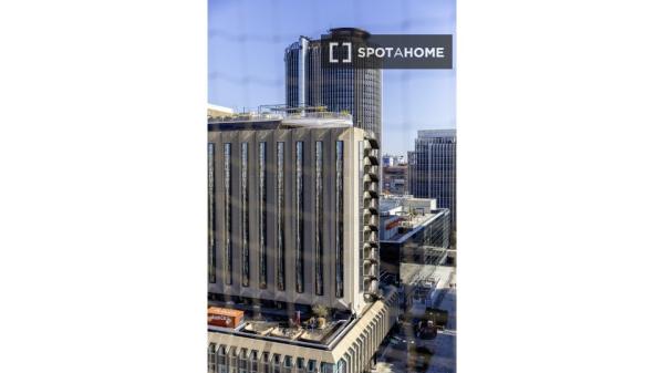 Se alquila habitación en Cuatro Caminos, Madrid