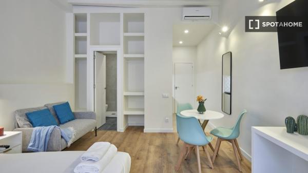 apartamento de 1 dormitorio en alquiler en El Raval, Barcelona